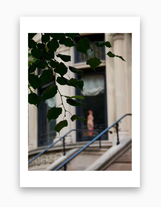 The Naked Lady - Faiseur de Beau