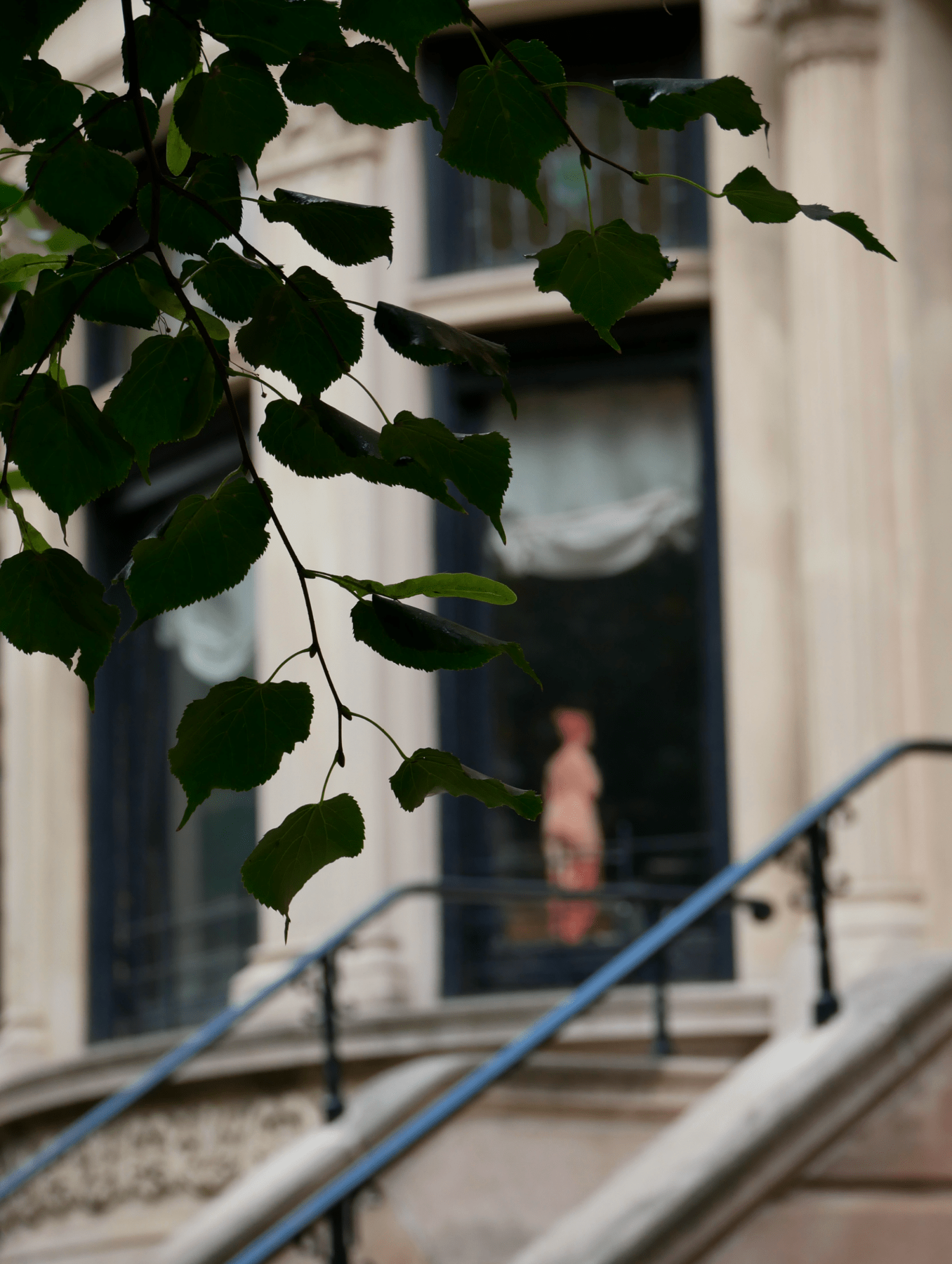 The Naked Lady - Faiseur de Beau